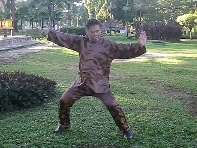 48-Pattern Taijiquan Set